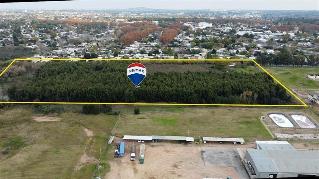 VENTA TERRENO 6 HECTÁREAS SOBRE CAMINO COLMAN