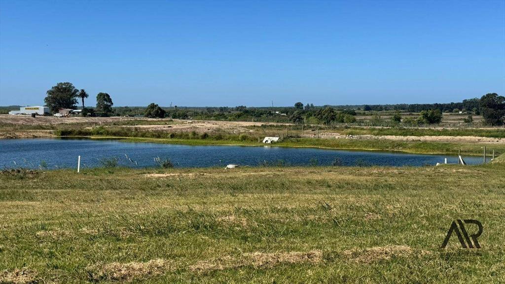 Terreno en venta de 1000m2 ubicado en Cavas de la Tahona