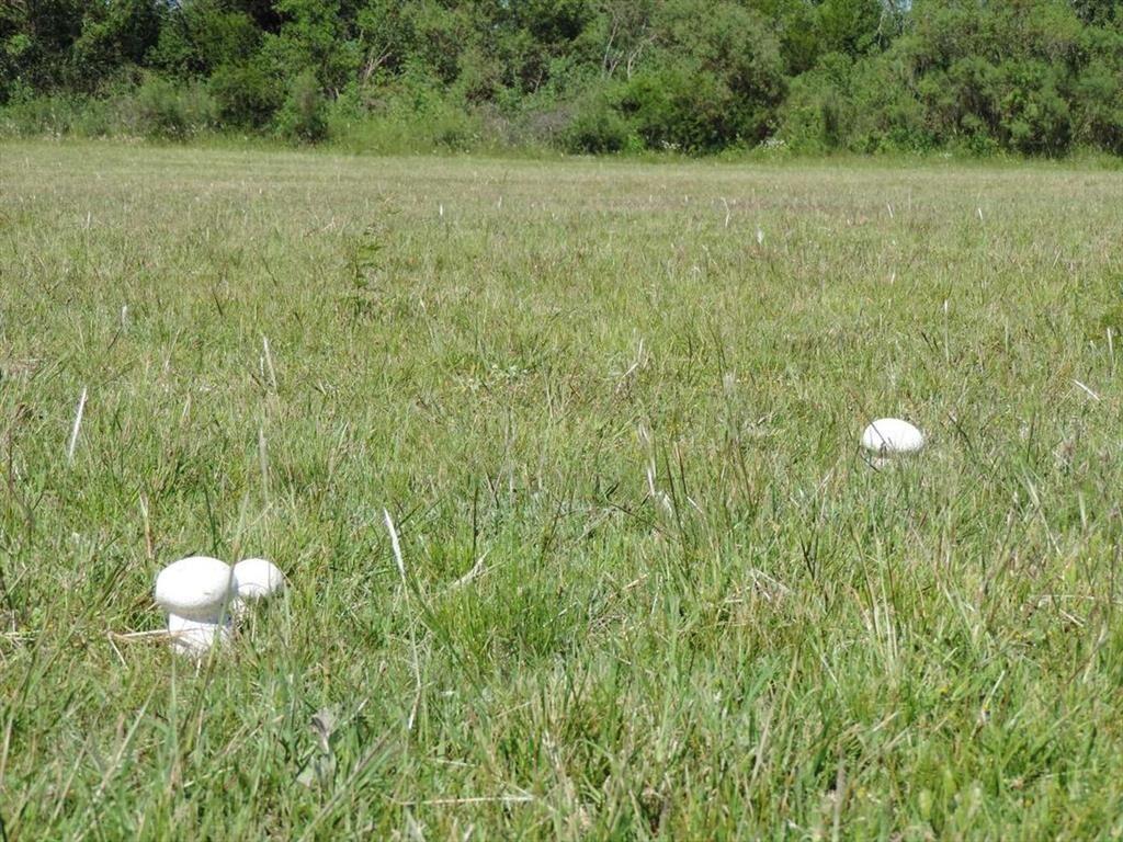 TERRENOS EN UN ENTORNO DE NATURALEZA