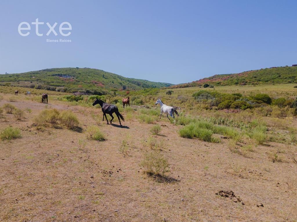 Imperdible Chacra en Venta en Las Sierras...