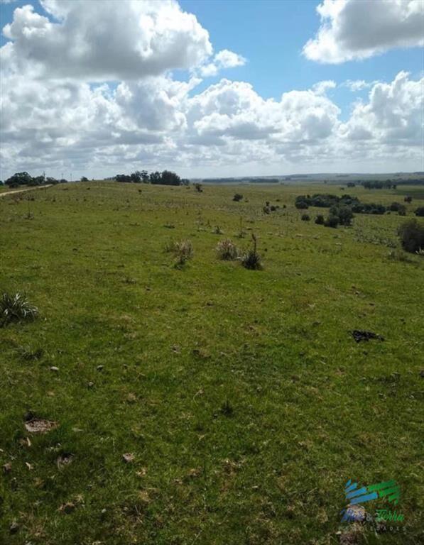 Linda Fraccion de Campo Agricola - Ganadero 177