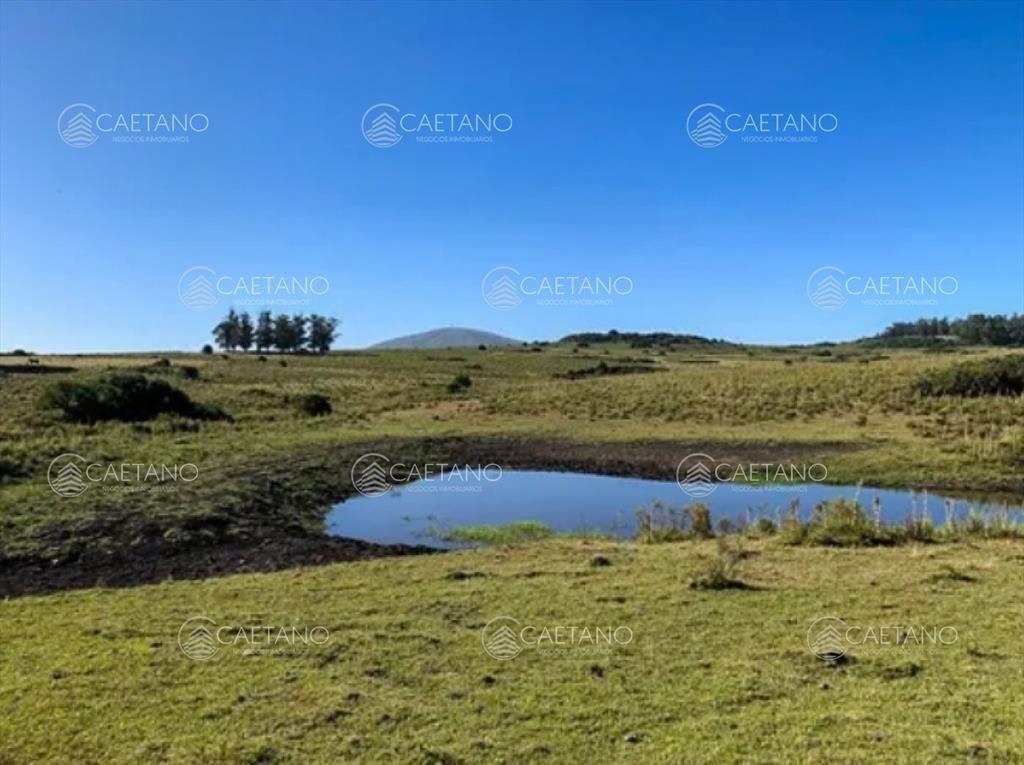 Chacra 5 hectáreas ruta interbancaria Maldonado