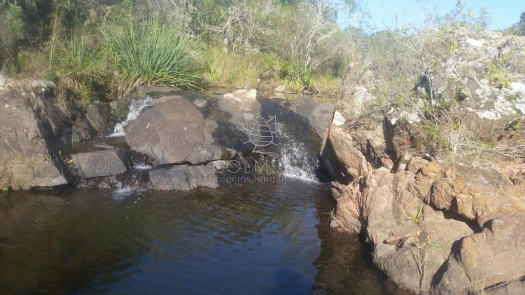 Campo 5 has con 333 m2 en paraje La Coronilla