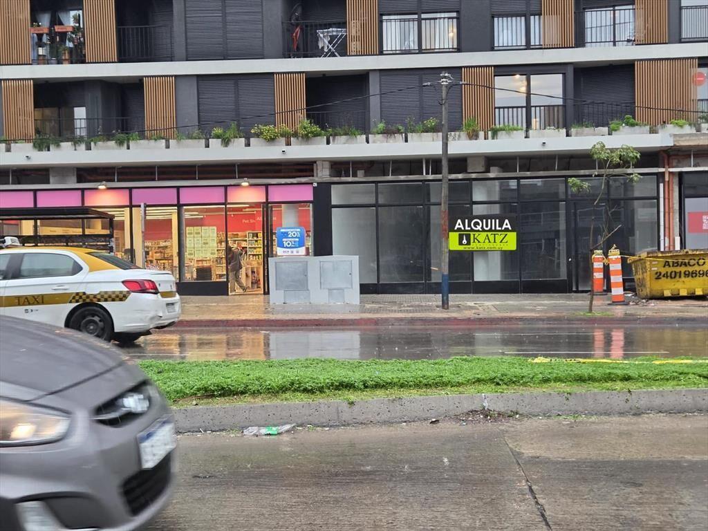 Luis Alberto de Herrera casi Joanico, 9 mts de frente, 240