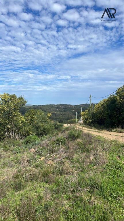Terreno en venta de 14339m2 ubicado en Piriápolis