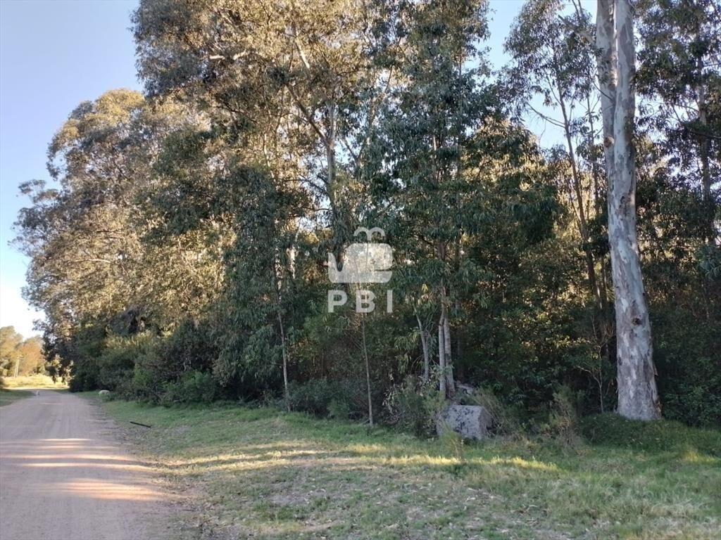 Venta de lote esquinero en Sauce de Portezuelo - Ref : PBI2