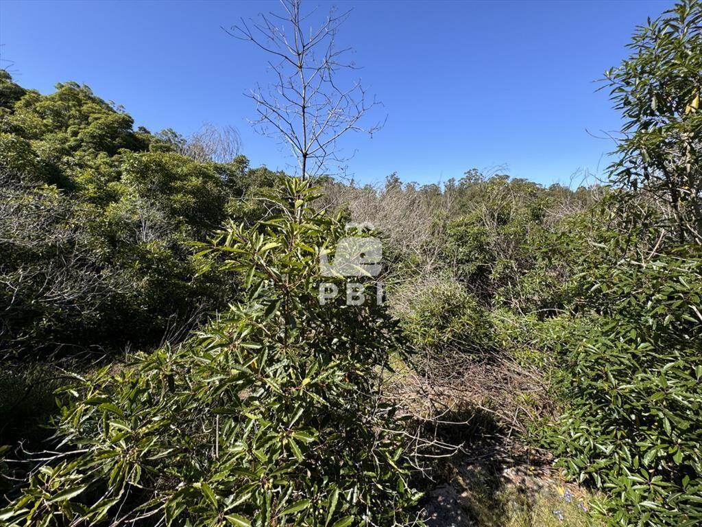 Venta terreno Las Cumbres Punta Ballena Punta del Este - Re