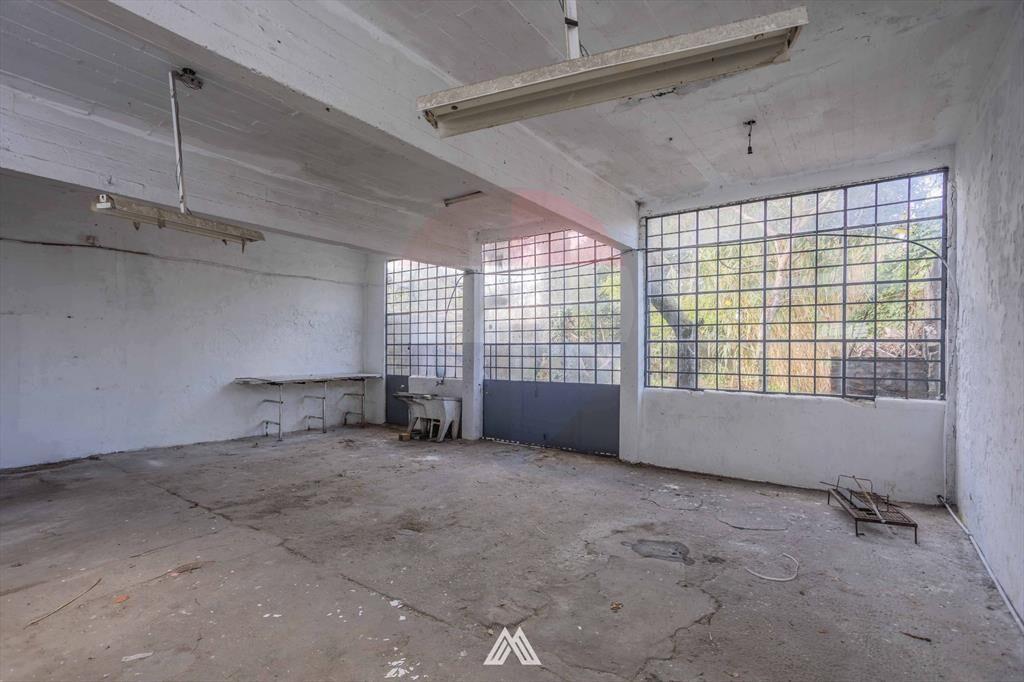 ALQUILER DEPÓSITO DE 162 M2 EN PARQUE BATLLE/BUCEO