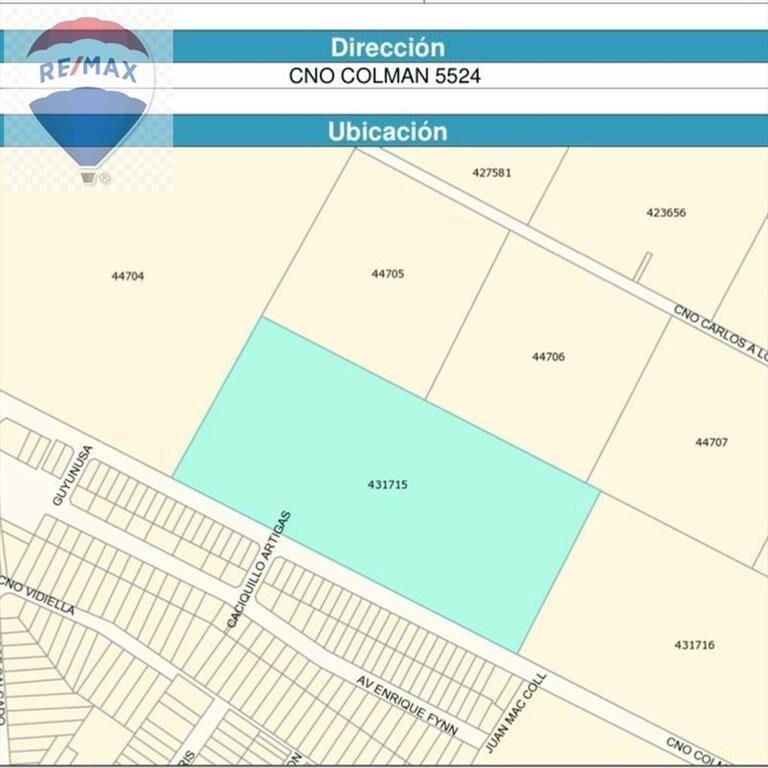 VENTA TERRENO 6 HECTÁREAS SOBRE CAMINO COLMAN