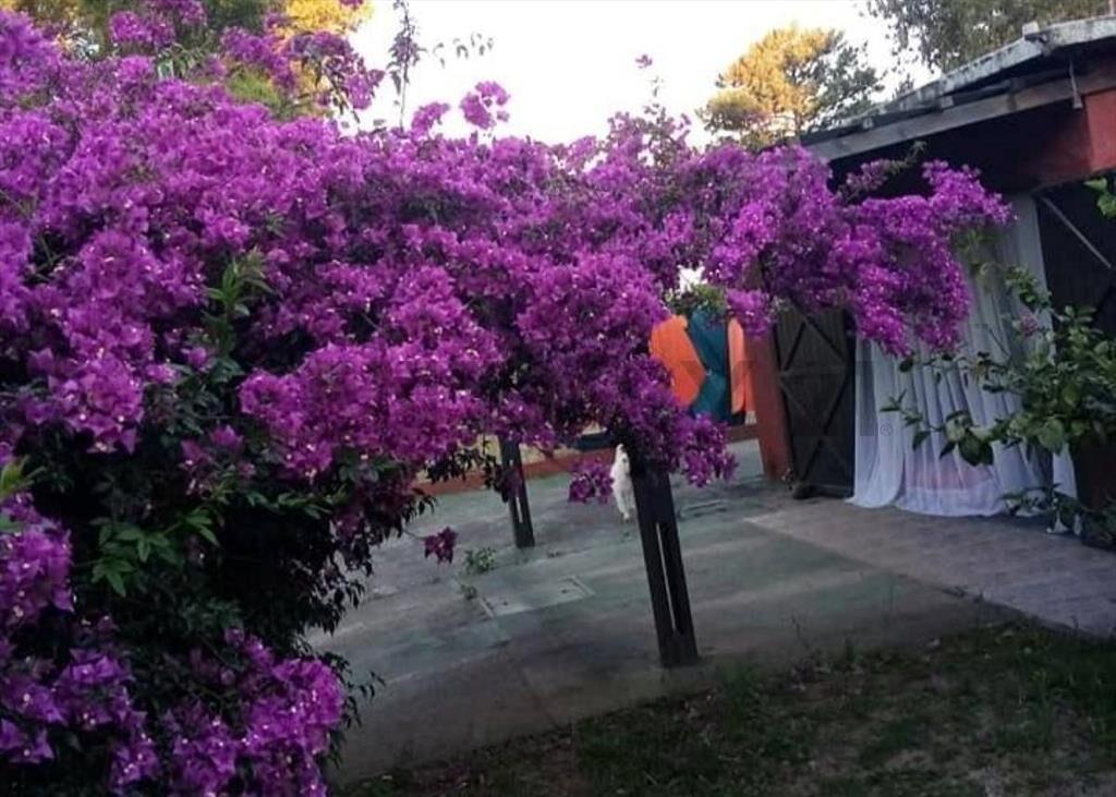 VENTA Casa y Monoambiente Parque Plata Norte Acepta Banco...