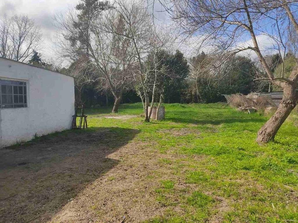Alquiler Local Comercial con Amplio Terreno