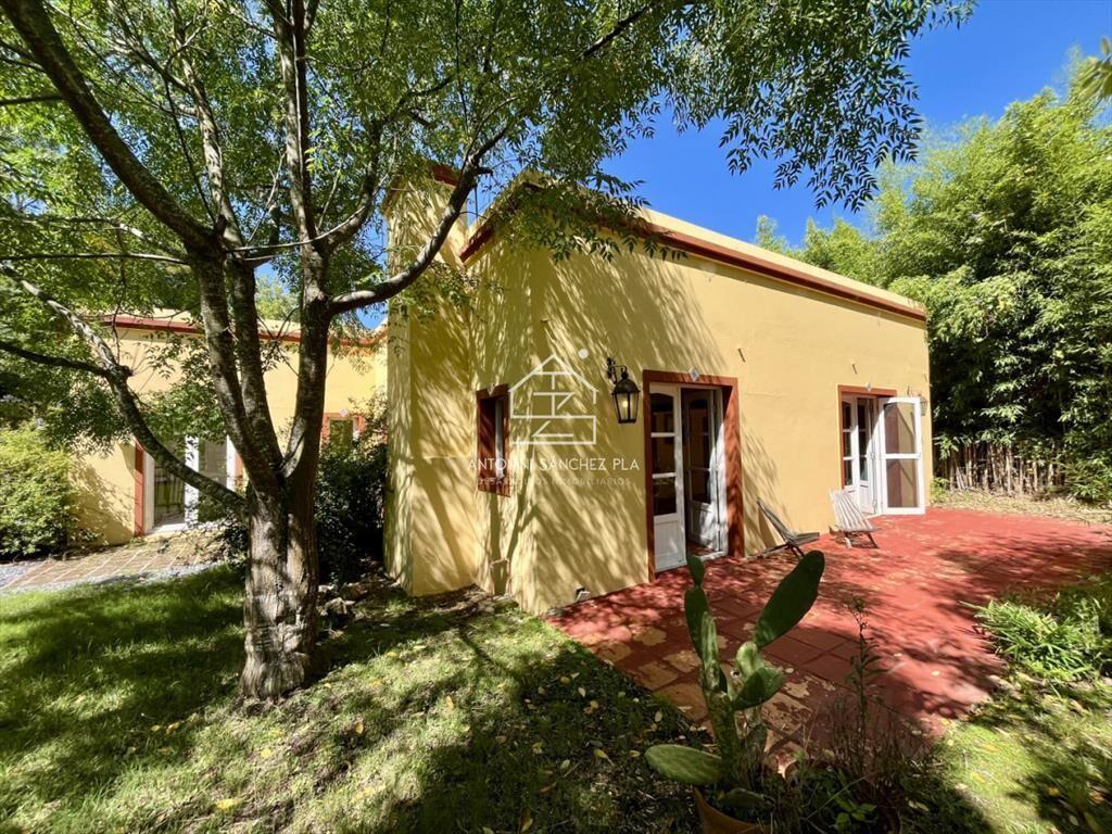 VENTA CHACRA DE 3 HECTAREAS PUNTA BALLENA