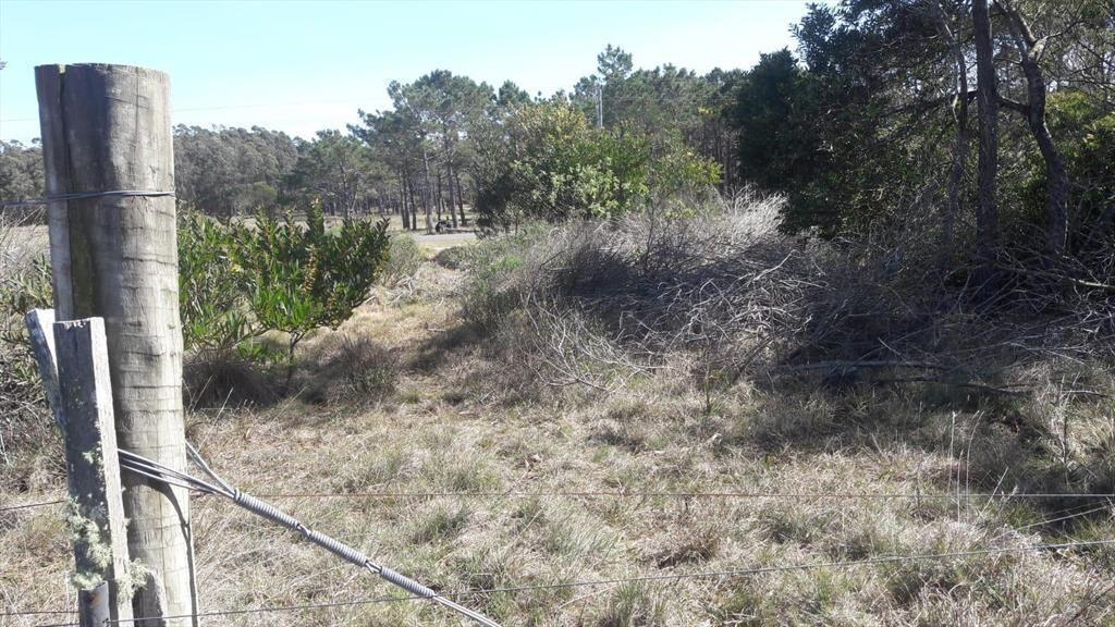 Venta Terreno10 ha sobre Ruta 10 en Oceanía del Polonio, Ro