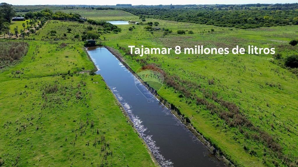VENTA DE HECTAREAS, CAMPO EN LAS BRUJAS, CANELONES