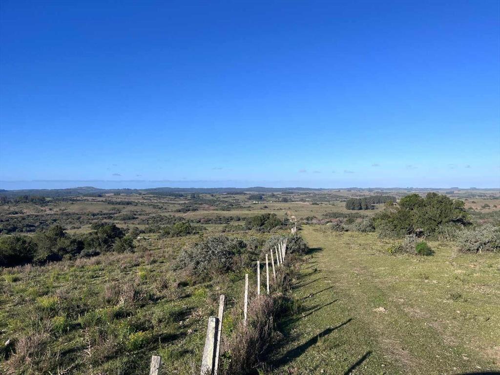 Campo en venta al norte de Garzón - Buen acceso