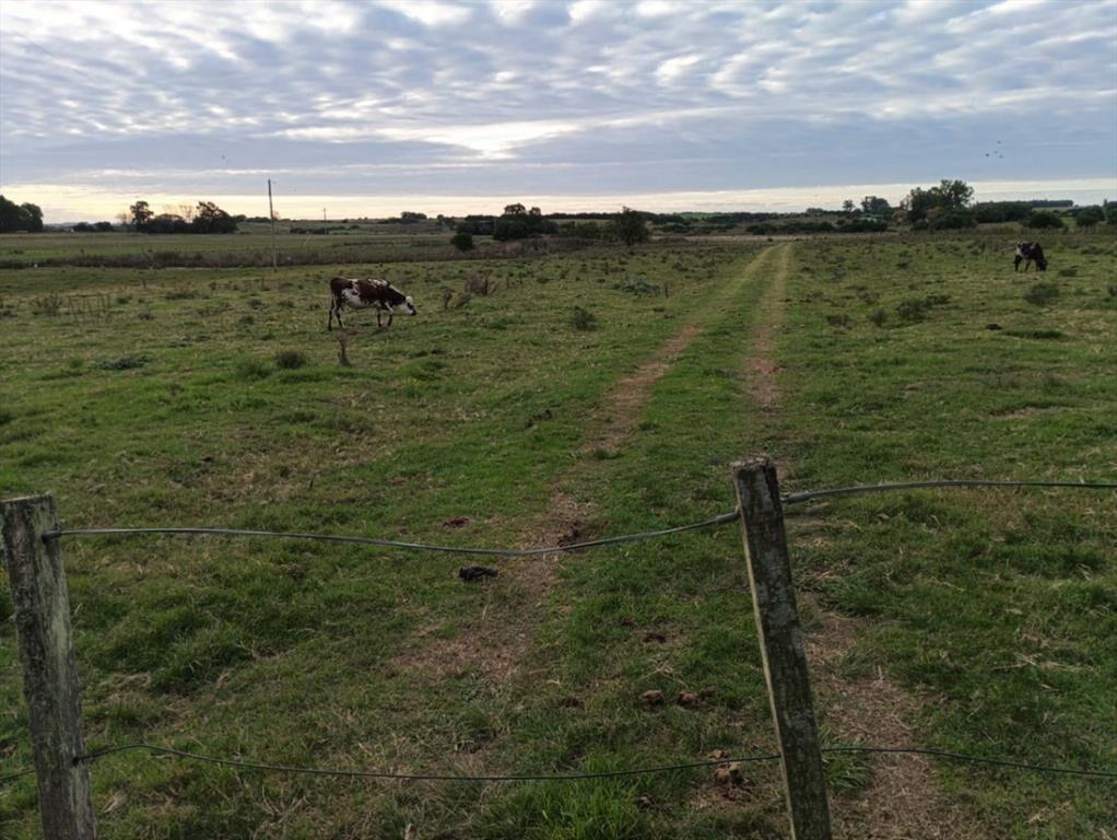 Campo en venta de 14.5 ha en San José de Mayo
