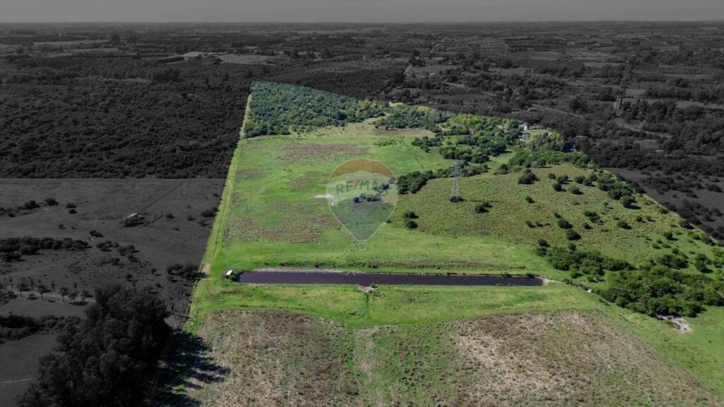 VENTA DE HECTAREAS, CAMPO EN LAS BRUJAS, CANELONES