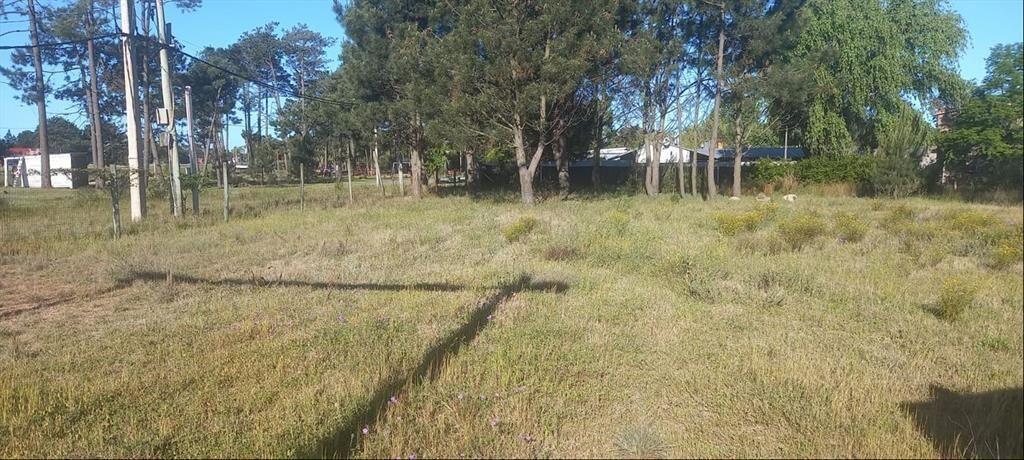 EXCELENTÍSIMA PROA COMERCIAL AV. GIANNATTASIO. Terreno Vent