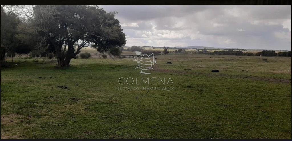 Campo 5 has con linda casa a 25 km de Punta del