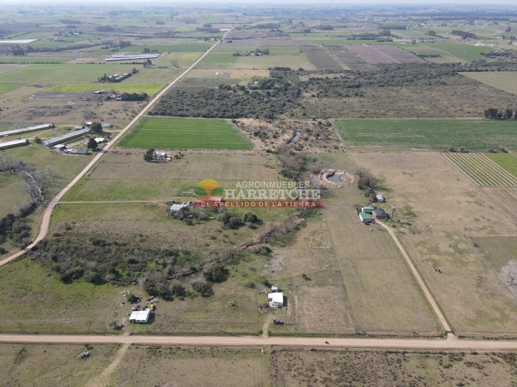 Chacra en venta Los Cerrillos, 1 has con casa de