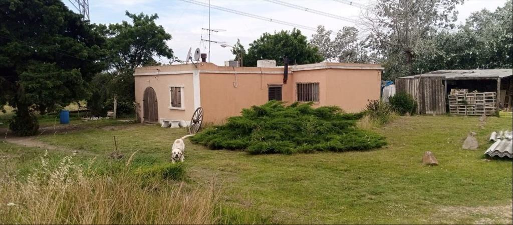 Terreno tipo chacra con casa y galpónes, con 205 m de frent