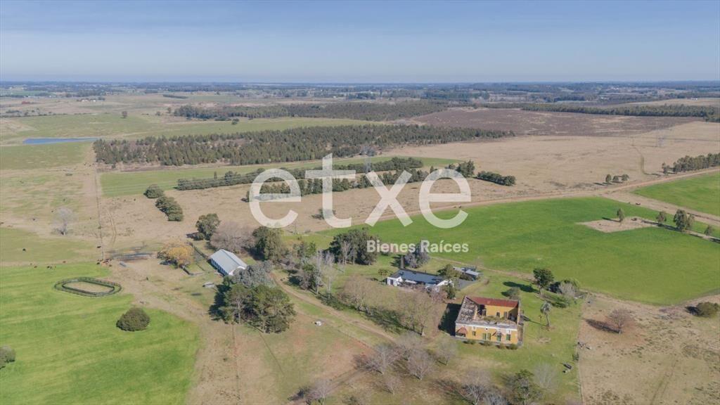 Campo Venta 382 Has Ruta 11 Canelones IDEAL FRACCIONAMIEN...
