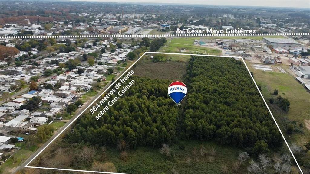 VENTA TERRENO 6 HECTÁREAS SOBRE CAMINO COLMAN