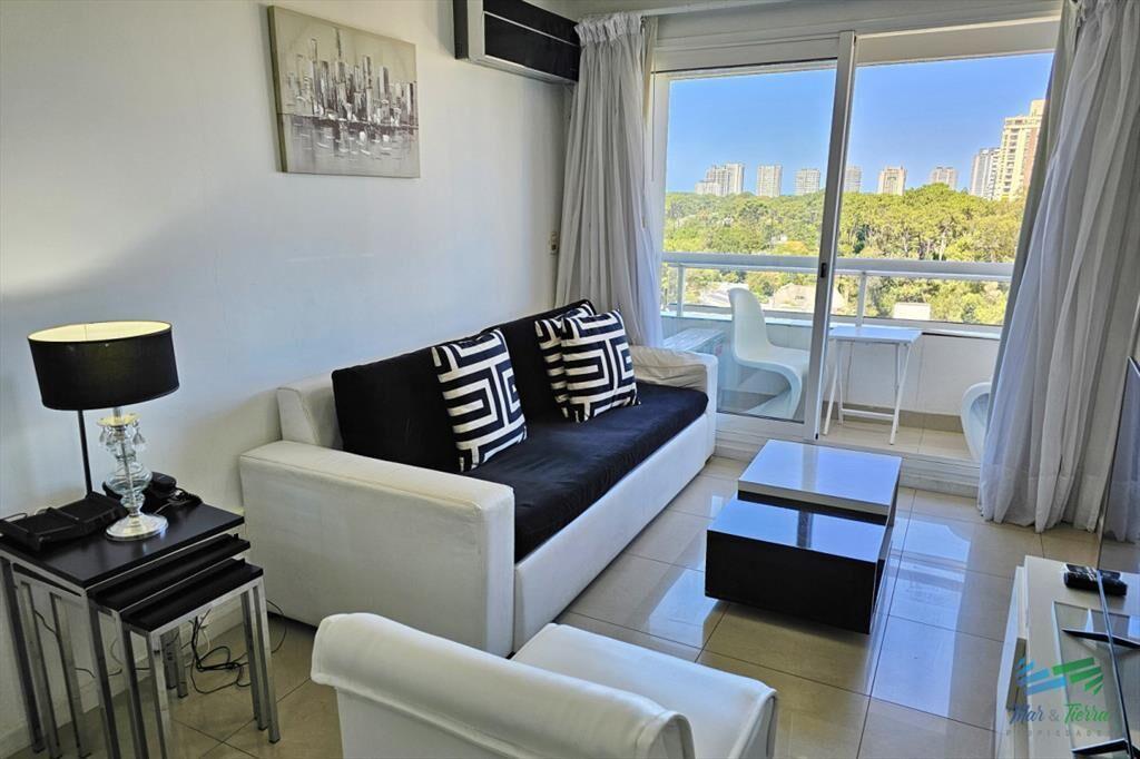 Alquiler invernal apartamento 1 dormitorio con en