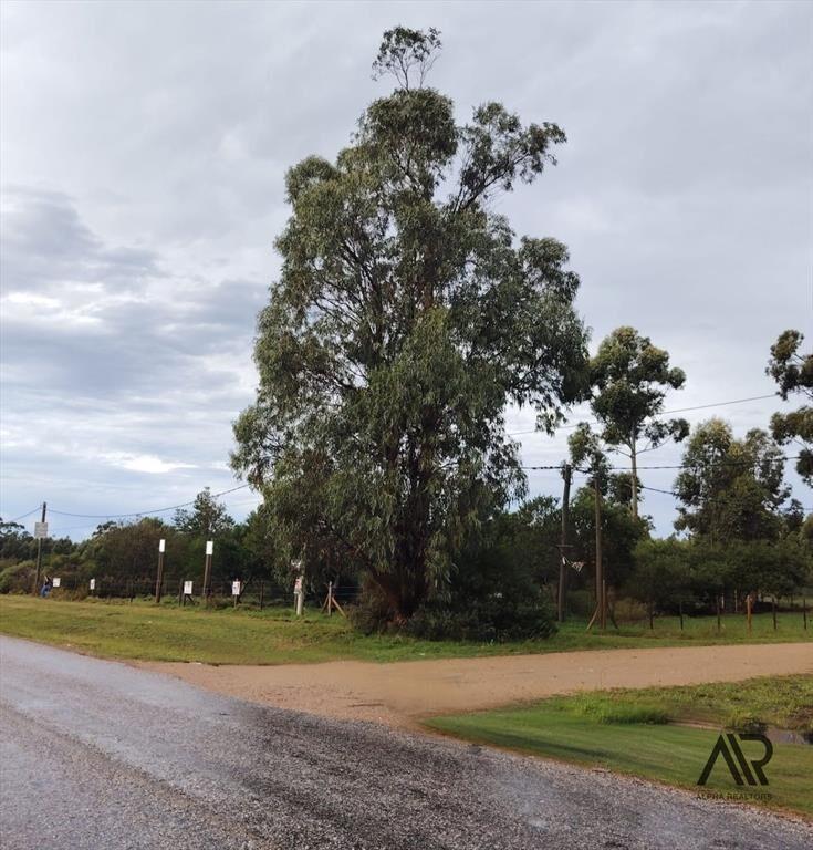 Terreno en venta de 1390m2 ubicado en Barra De Portezuelo