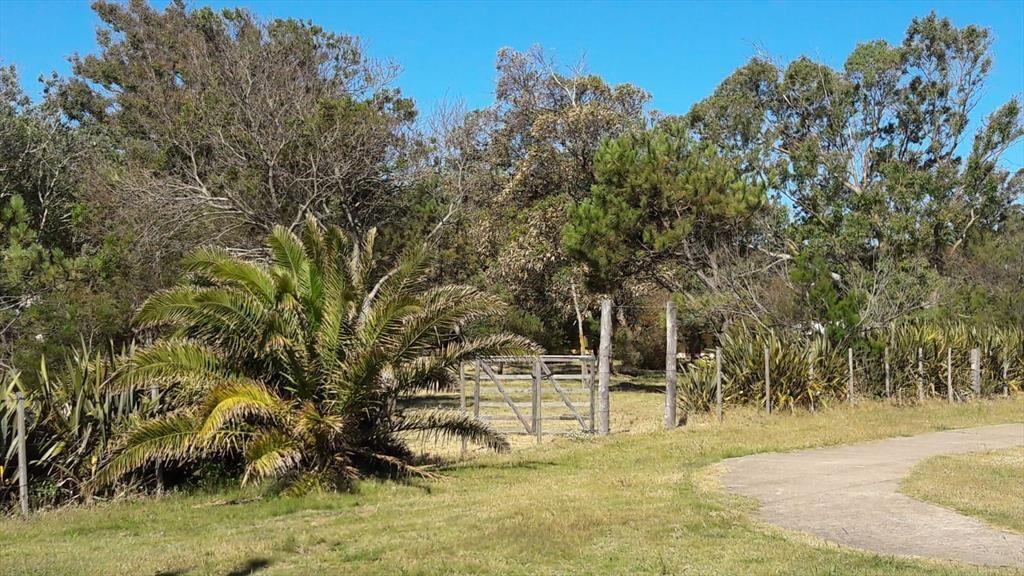 Campo en Las Flores