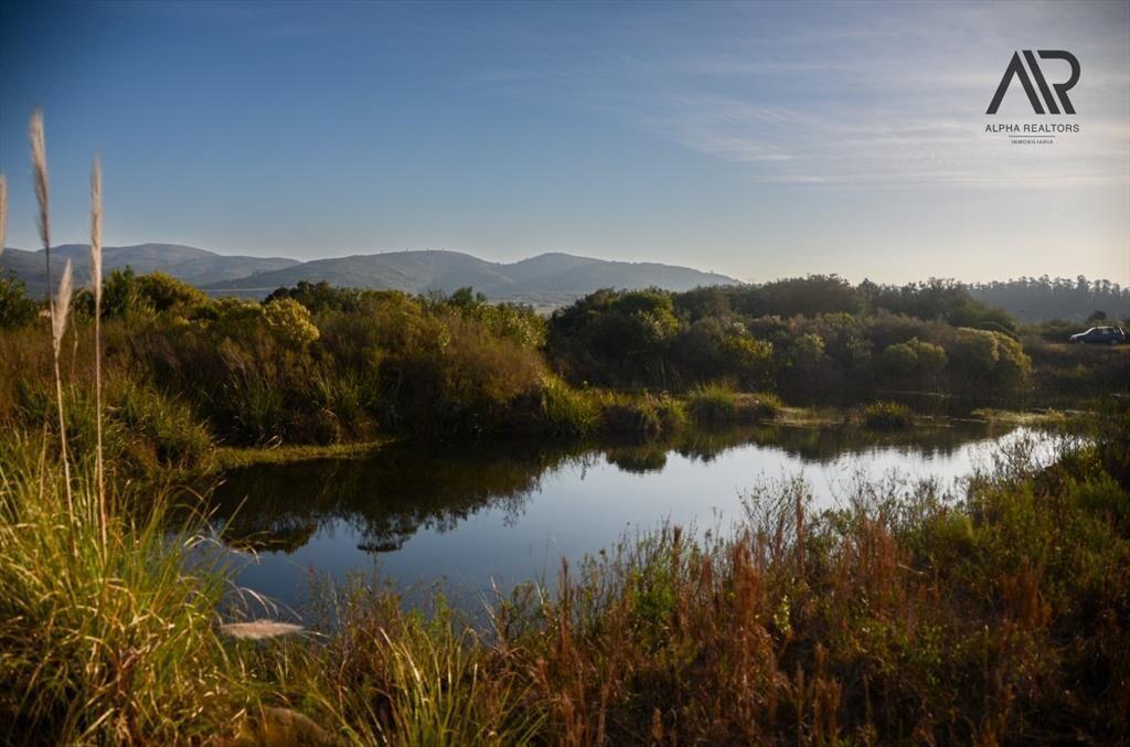 Chacra en venta de 5ha ubicado en Nueva Carrara