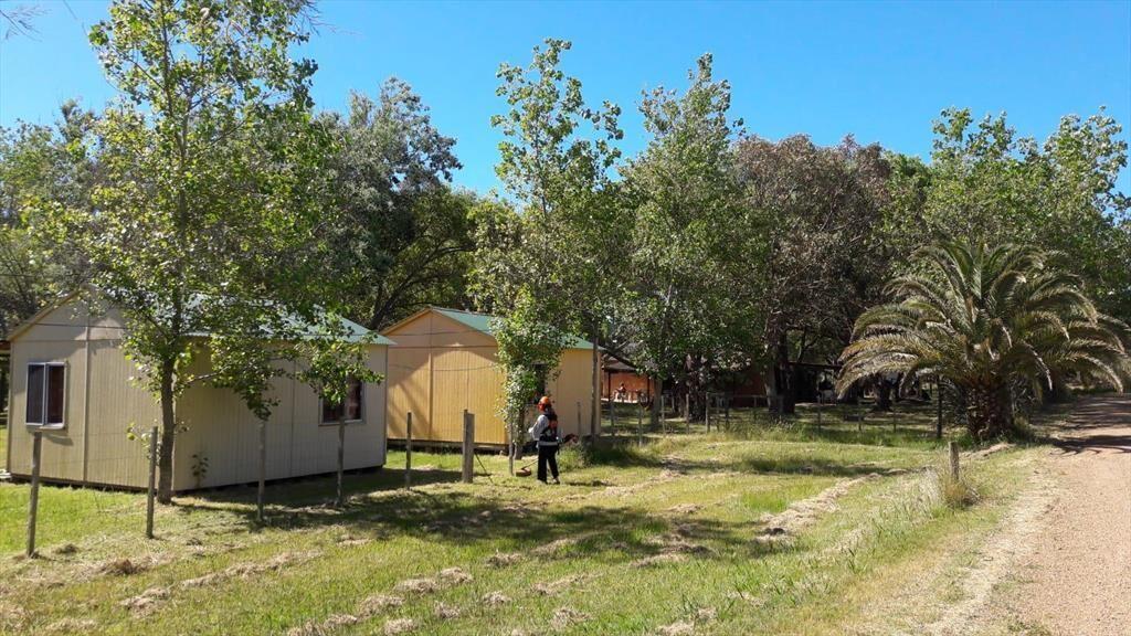 Campo en Las Flores