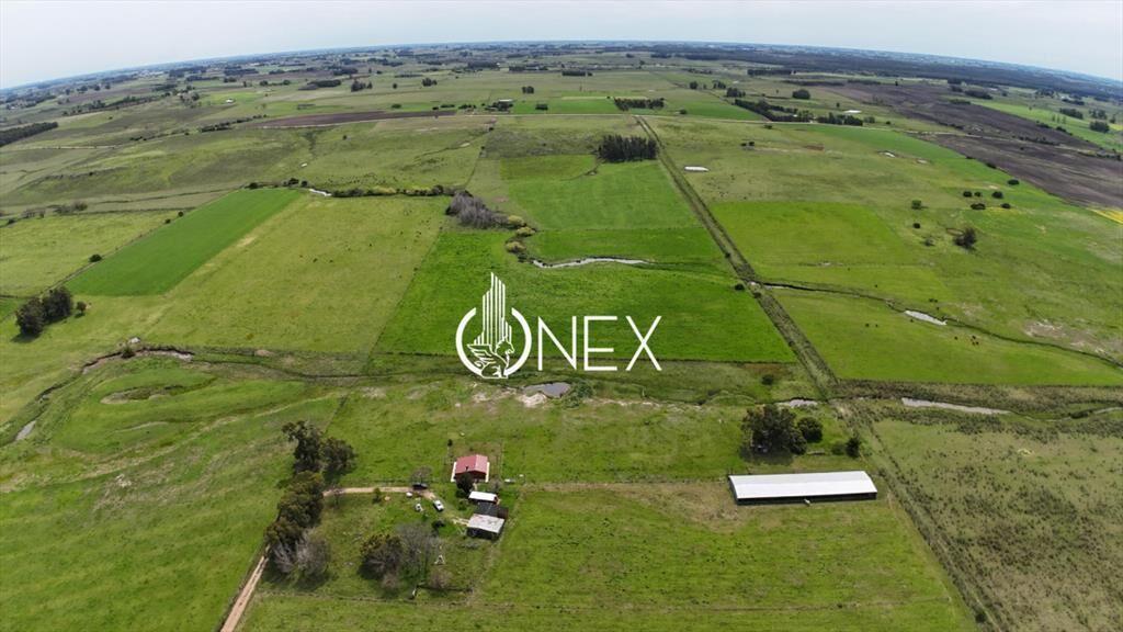 Oportunidad chacra en Venta En San Jacinto