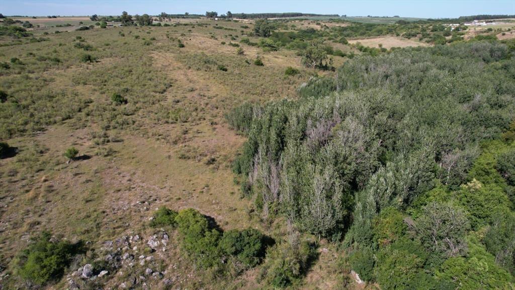 Campo en Rosario