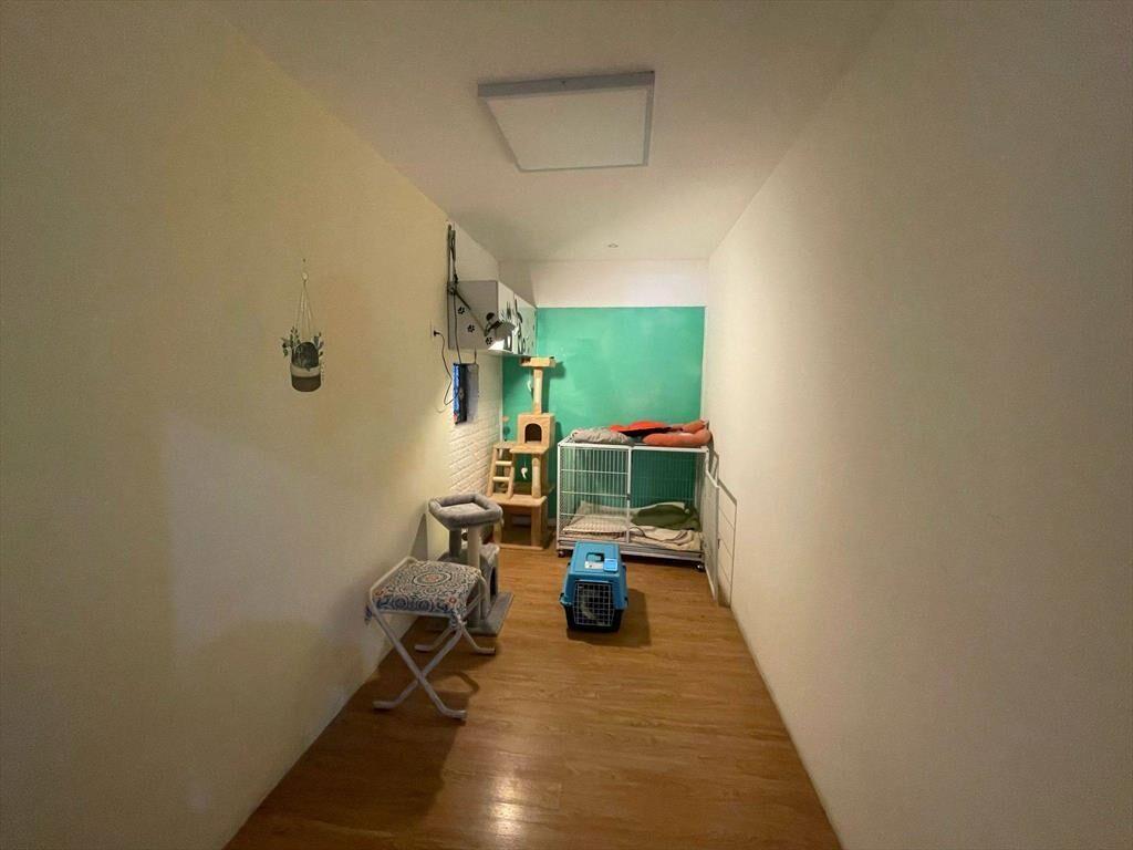 Venta de casa y local comercial con vivienda con Renta en Pa