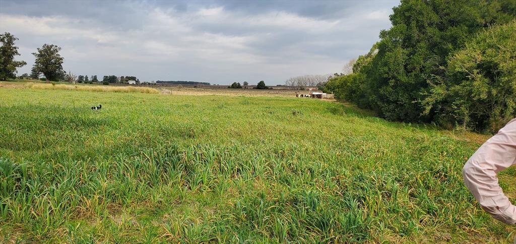 VENTA CHACRA RUTA 36 , KM 42.900 2 TAJAMARES