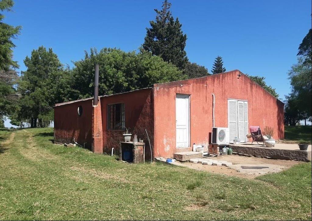 Agricola / Ganadero, costa sobre rio Yaguaron