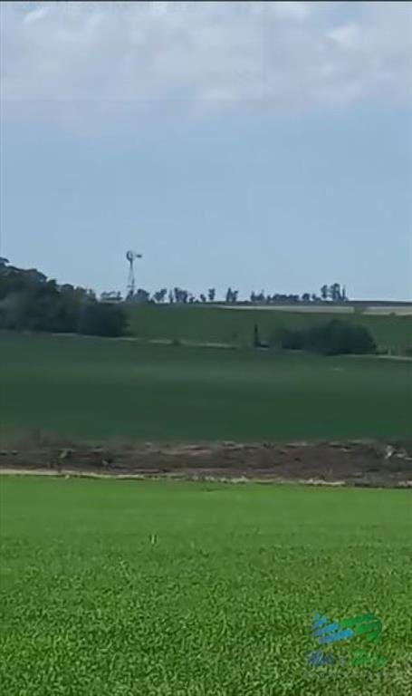 Excelente ubicación, Campo Mixto a poca de todo