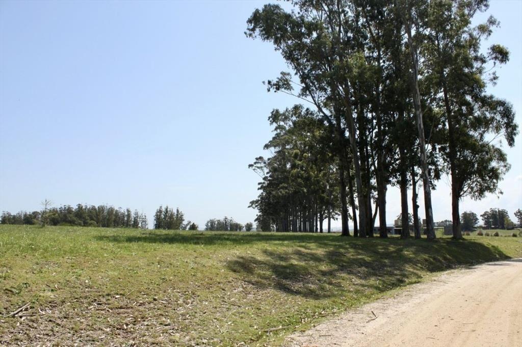 Terreno en venta - Zona Barra