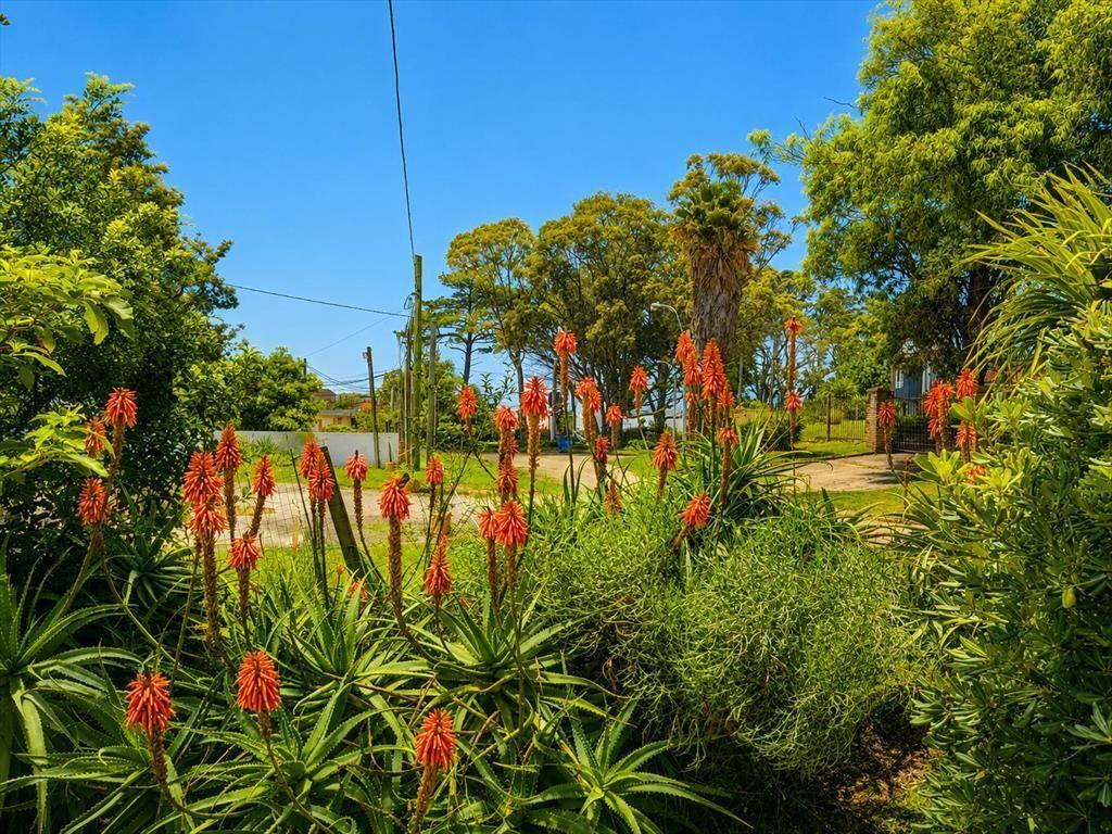 Terreno con mejoras en Atlántida Sur a pasos del mar