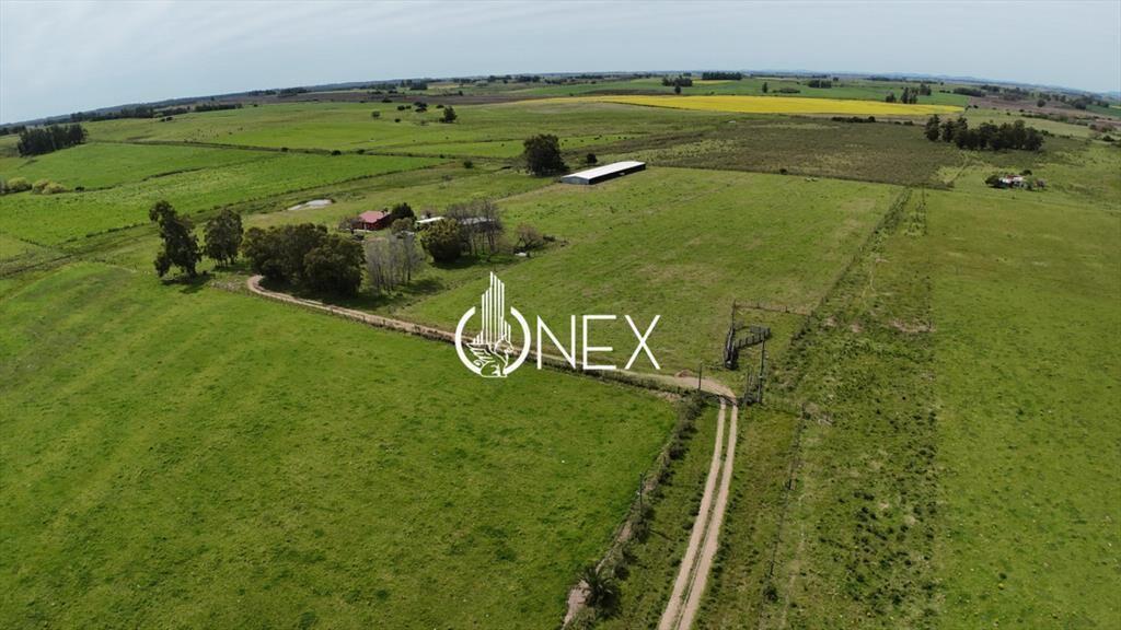 Oportunidad chacra en Venta En San Jacinto