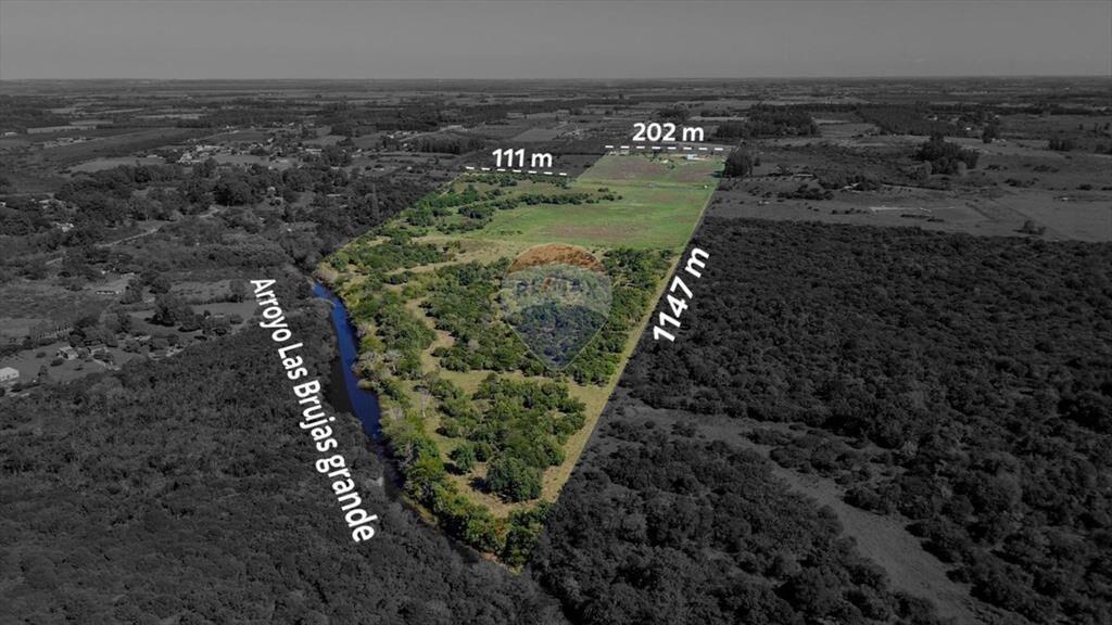 VENTA DE HECTAREAS, CAMPO EN LAS BRUJAS, CANELONES