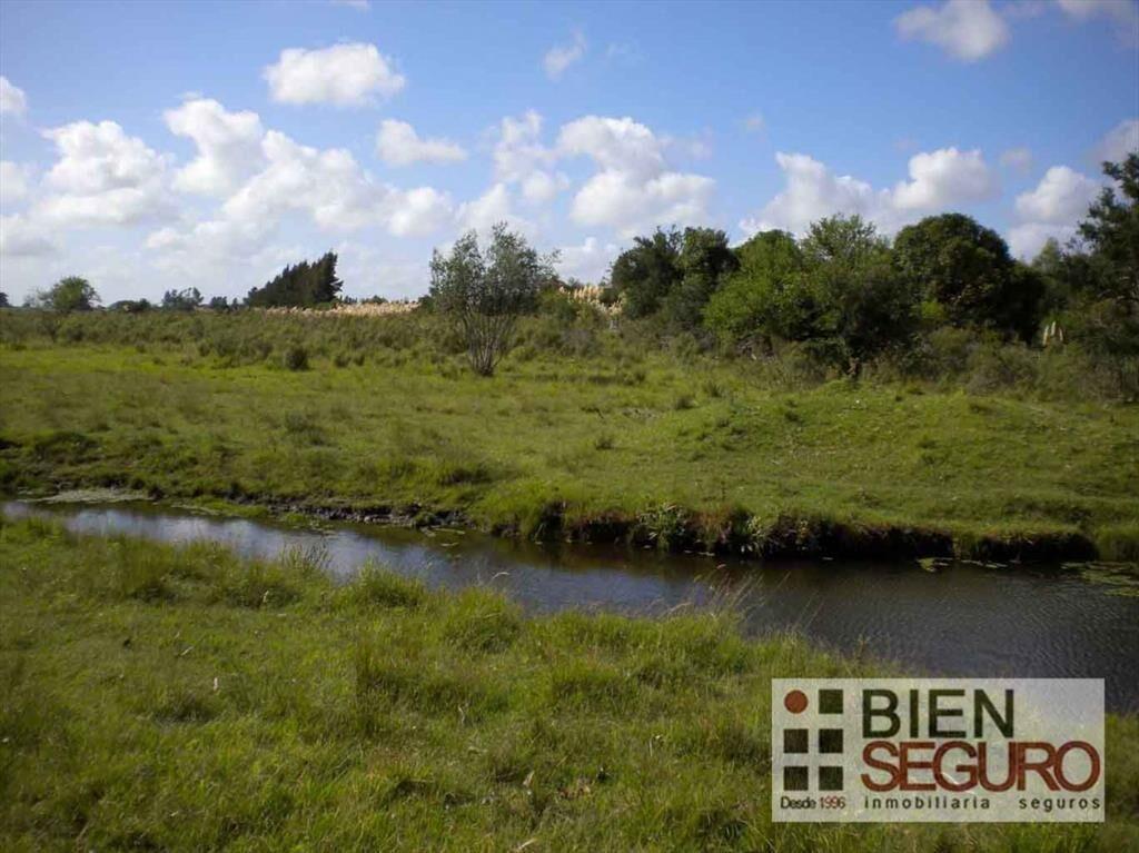 Chacra de 3 hás 6006 m², con 2 casas, en venta en Cerrillos