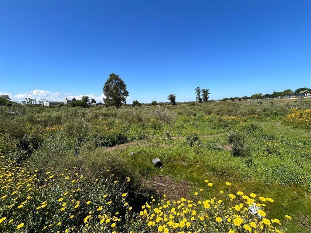 VENTA DE TERRENO SAN CARLOS MALDONADO