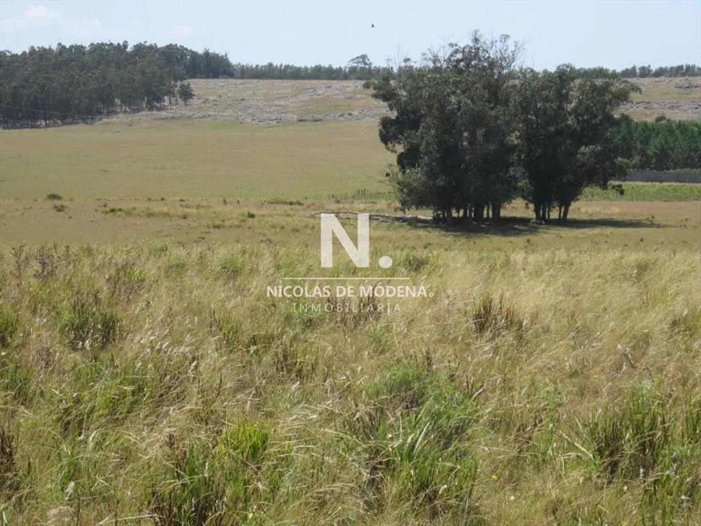 Lote en venta en Cerro Eguzquiza, Ideal para e