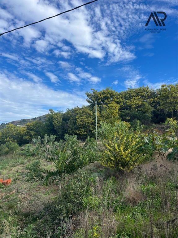 Terreno en venta de 14339m2 ubicado en Piriápolis