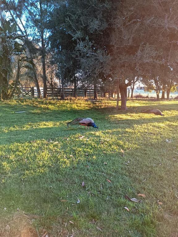Campo en La Paloma