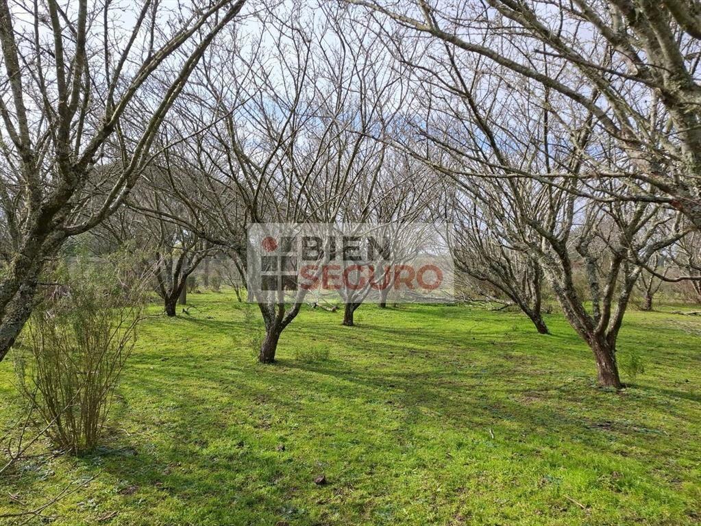 Chacra baldía de 1200m en venta en Las Brujas, próximo al r