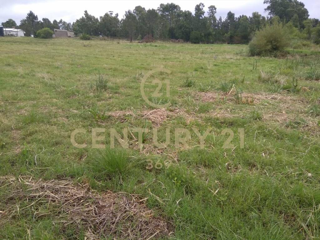 INVERSION VENTA CAMPO 3 HECTÁREAS con galpón-próx Interba...