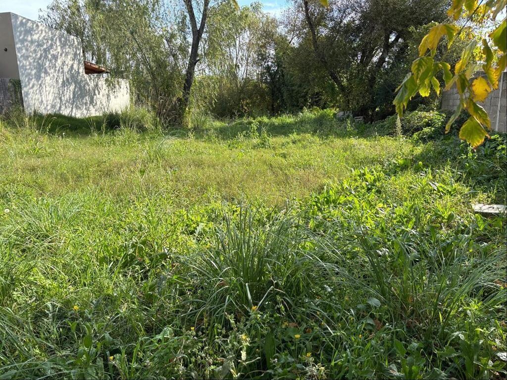 TERRENO A 250 METROS DE AV. GIANNATTASIO. Norte Lagomar Ciu